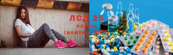 ECSTASY Майский