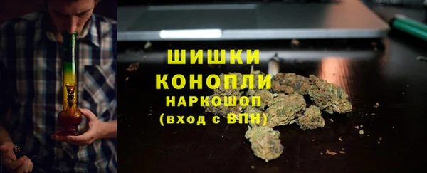 ECSTASY Майский